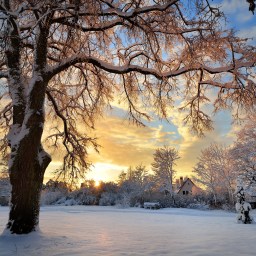 What to Stream March 10-12