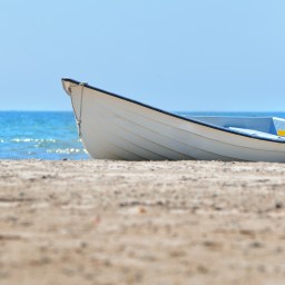 New Movies to Stream June 23