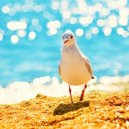 New Movies to Stream, June 30