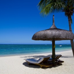 New Movies To Stream, July 21