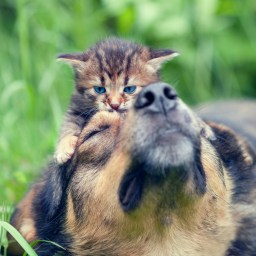 Free 60 Day Membership With Code!