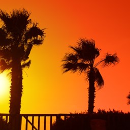 New Movies and TV Streaming, Aug. 18