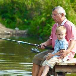 Movies and Television to Stream, Sept. 1