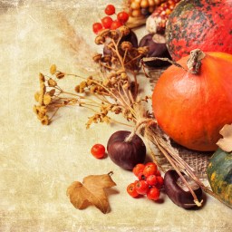 Thanksgiving Streaming on Netflix!