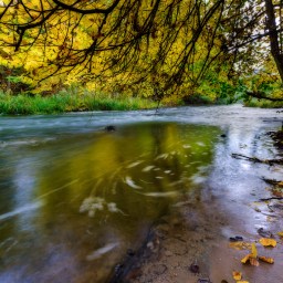 New Movies and TV to Stream, Nov. 3