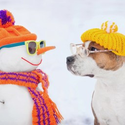 New Movies and TV Shows to Stream, Dec. 29!