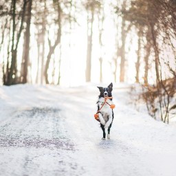 New Movies and TV to Stream, Jan 25