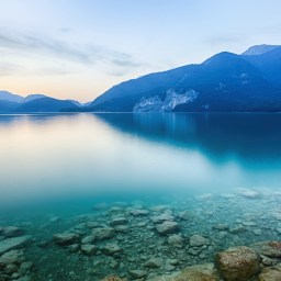 New Movies and Television to Stream, Feb. 16