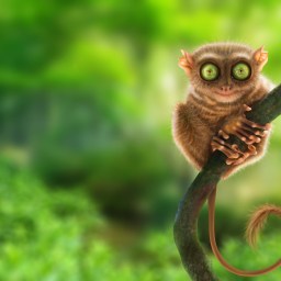 Movies and Television to Stream, March 2