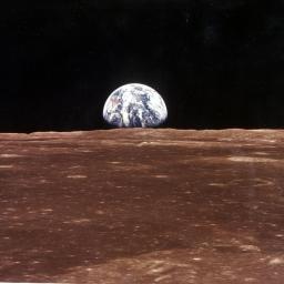 New Movies and TV to Stream, July 20