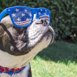 New Movies and TV to Stream, July 6