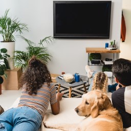 A Cheaper Streaming Package!