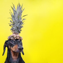 New Movies and TV to Stream, Aug. 31