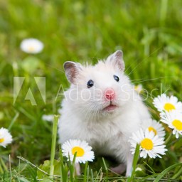 New Movies and TV To Stream, Aug. 24