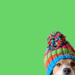 New Movies and TV to Stream, Sept. 28