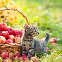 New Movies and TV to Stream, Sept 21