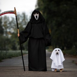 New Movies and TV to Stream, Oct. 12