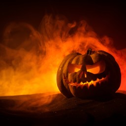 Shudder For Halloween