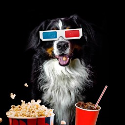 New Movies and TV to Stream, March 14