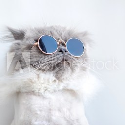 New Movies and TV to Stream, May 9