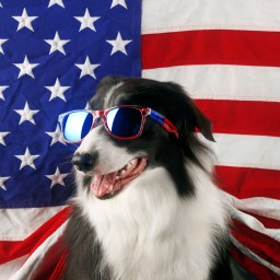 New Movies and TV Shows to Stream, July 4