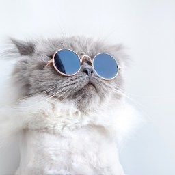 New Movies and TV to Stream, Oct. 17