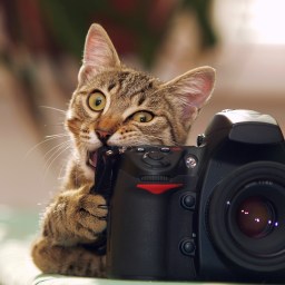 New Movies and TV to Stream, Feb. 13