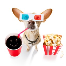 New Movies and TV to Stream, March 20