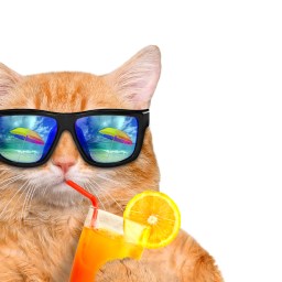 New Movies and TV to Stream, July 24