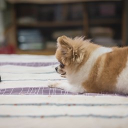 New Movies and TV to Stream, August 28