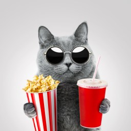 New Movies and TV to Stream, August 21