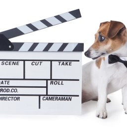 New Movies and TV to Stream, August 7