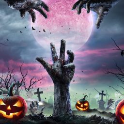 New Movies and TV to Stream, Oct. 29