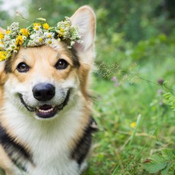 New Movies and TV to Stream, April 9