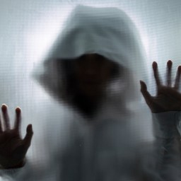 New Movies and TV to Stream, Oct. 8